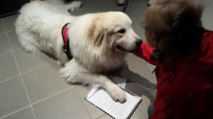 IMG-20151025-WA0002 (1)